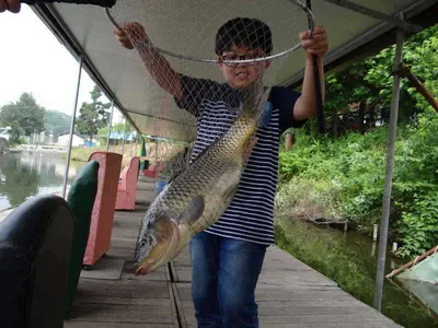 각평지 조황소식