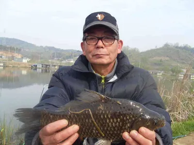 [당진 가교리지] 토종 대물 조황화보..