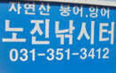 노진낚시터 개장안내드립니다