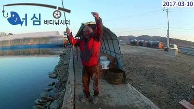 3월10일어심바다낚시터조황(초대박)