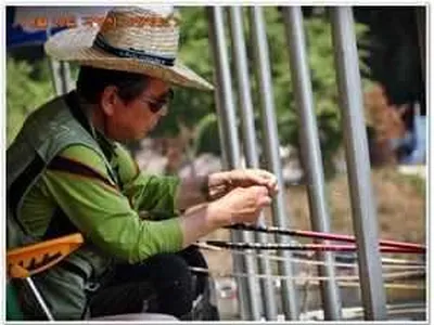 [각평지] 6월 20일 조황정보