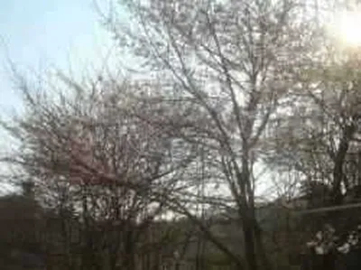 ~~~호조황의 연속을 기다리며~~~