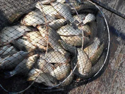 개심낚시터의 7월 마지막주 모습