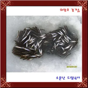 의암호소문난드림낚시,빙어,빙어,빙어 대박 대행진.