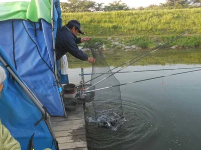 ^^조황소식&수상좌대이벤트^^