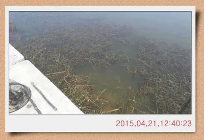 충남 아산 월선낚시터 4월 22일자 스케치