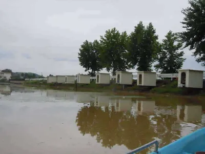 입석낚시터 [토종댐붕어] 7월10일조황