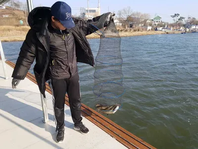 아산 월랑낚시터 1차 산란중....
