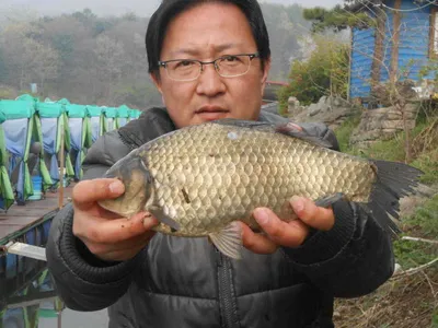 *****조황소식******