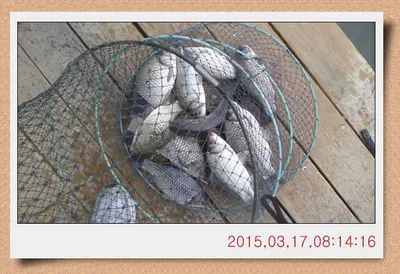 충남 아산 월선낚시터 3월 17일자 스케치