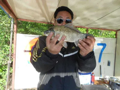 [당진 가교리지] 토종 대물 연휴 조황화보..