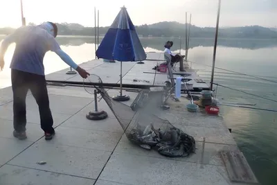 오목낚시터 조황입니다~~~!!!