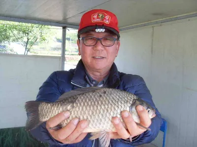 [당진 가교리지] 토종 대물 조황화보..