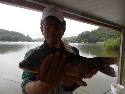 [당진 가교리지 호조황시작..]