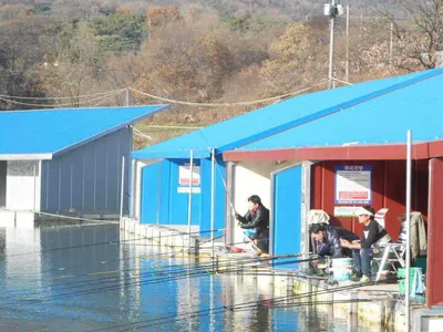 *****실시간 조황올립니다...붕어+송어*****