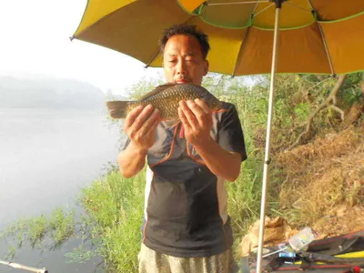 [당진 가교리지] 대호만 토종 어자원 조성 ...