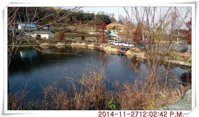 충남 아산 월선낚시터 11월 27일자 조황정보