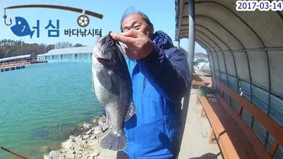 3월14일어심바다낚시터조황