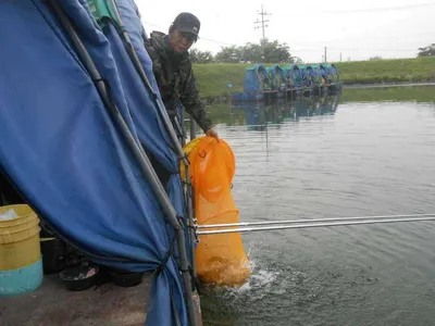 *****실시간 조황사진 올려봅니다*****
