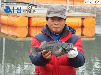 참돔입을열다(3월23일어심바다낚시터조황)