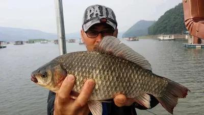 송전지 서울집 7월2일 조황