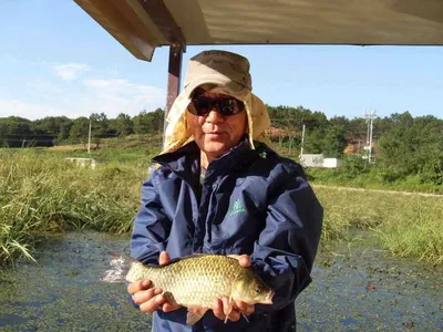 [당진 가교리지]션한 날씨속에 호조황 지속과 토종 어자원 대량방류...