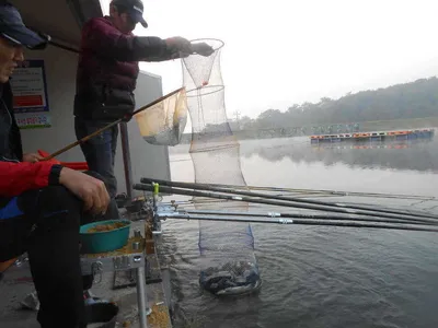 *****실시간 조황사진*****