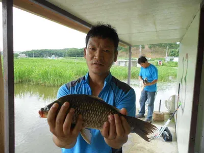 [당진 가교리지] 조황정보..
