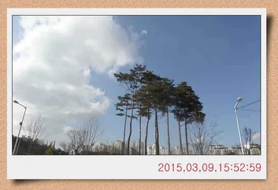 충남 아산 월선낚시터 3월 13일날자 스케치