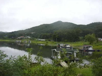 국화지 8월 넷째 주 조황입니다.