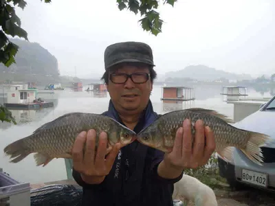 입석낚시터 [토종댐붕어] 10월13일조황