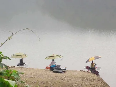 안성 죽산 장계지