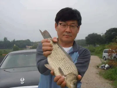 입석낚시터(토종대물댐붕어)6월13일 밤낚시조황