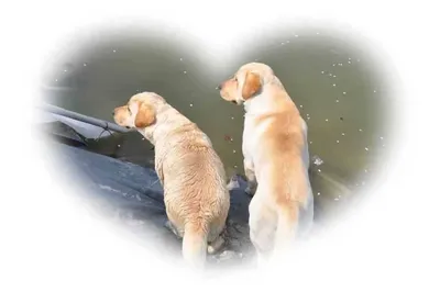 [유일낚시터] 연휴 막 ~~부어봅니다,~~!