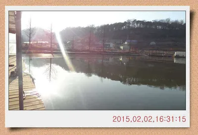 충남 아산 월선낚시터 2월 3일자 스케치