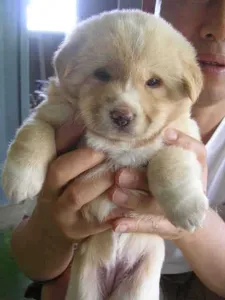 삼복 더위에.......