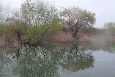 화사한 벚꽃주간 오목낚시터 조황 모습~~~