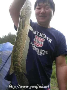 9월 넷째주 조황