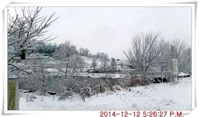 충남 아산 월선낚시터 12월 13일자 스케치