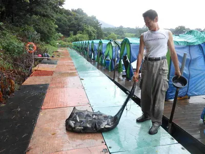 *****실시간 조황올립니다*****