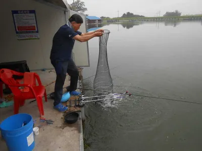 ^^조황소식&수상좌대이벤트^^