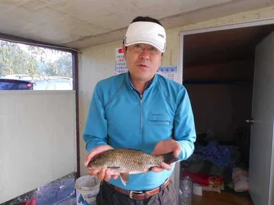 [당진 가교리지] 조황정보..