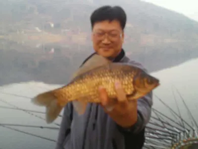 안성죽산장계지입니다.