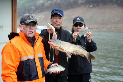 토종터 예산 봉림지 주말및 주중 주황정보 입니다.