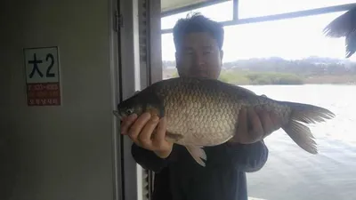 오목지에서 조황소식 알려드립니다!!!