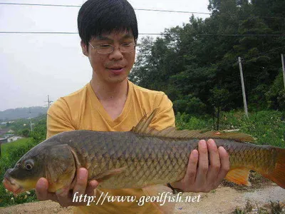 아주 특별한 손님