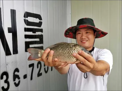 16.08.18 송전지 서울집 조황