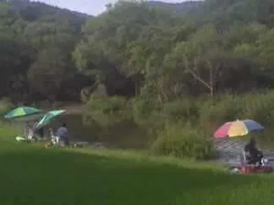 충청남도 공주시  행복낚시터 조황입니다.