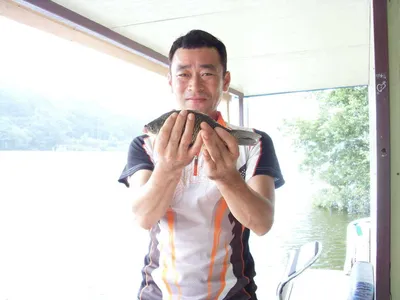 [당진 가교리지] 토종 붕어 조황...