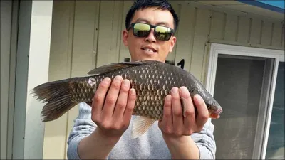 16.04.10 송전지 서울좌대 조황